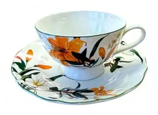 Hawai Tea Cup & Saucer, set of 12